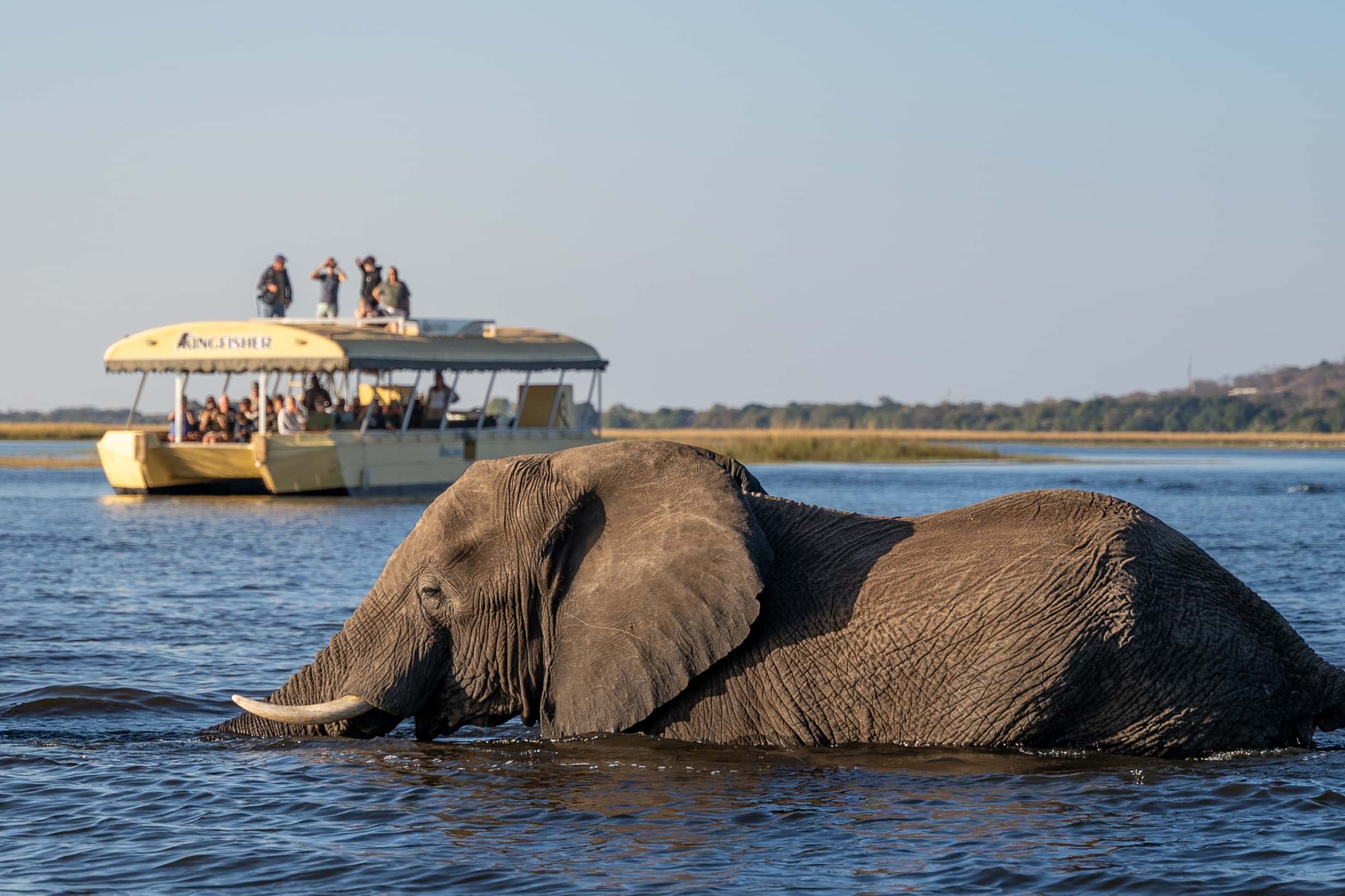 Chobe Safari Package