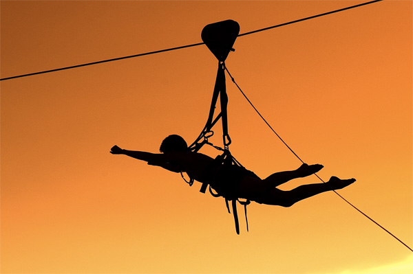 Flying Fox