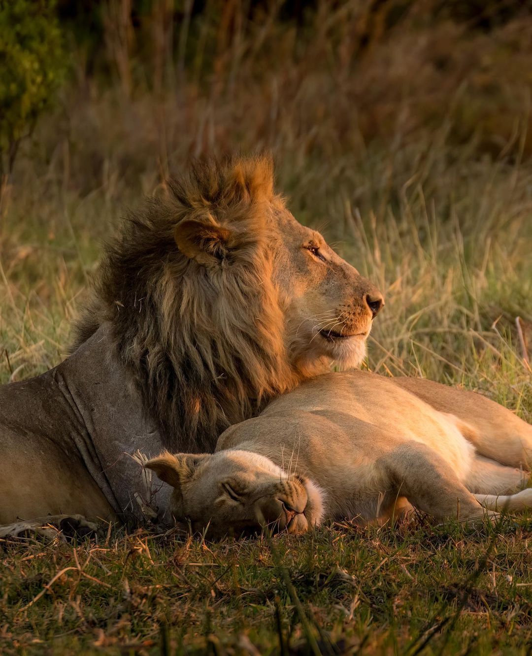 Hwange Safari Package