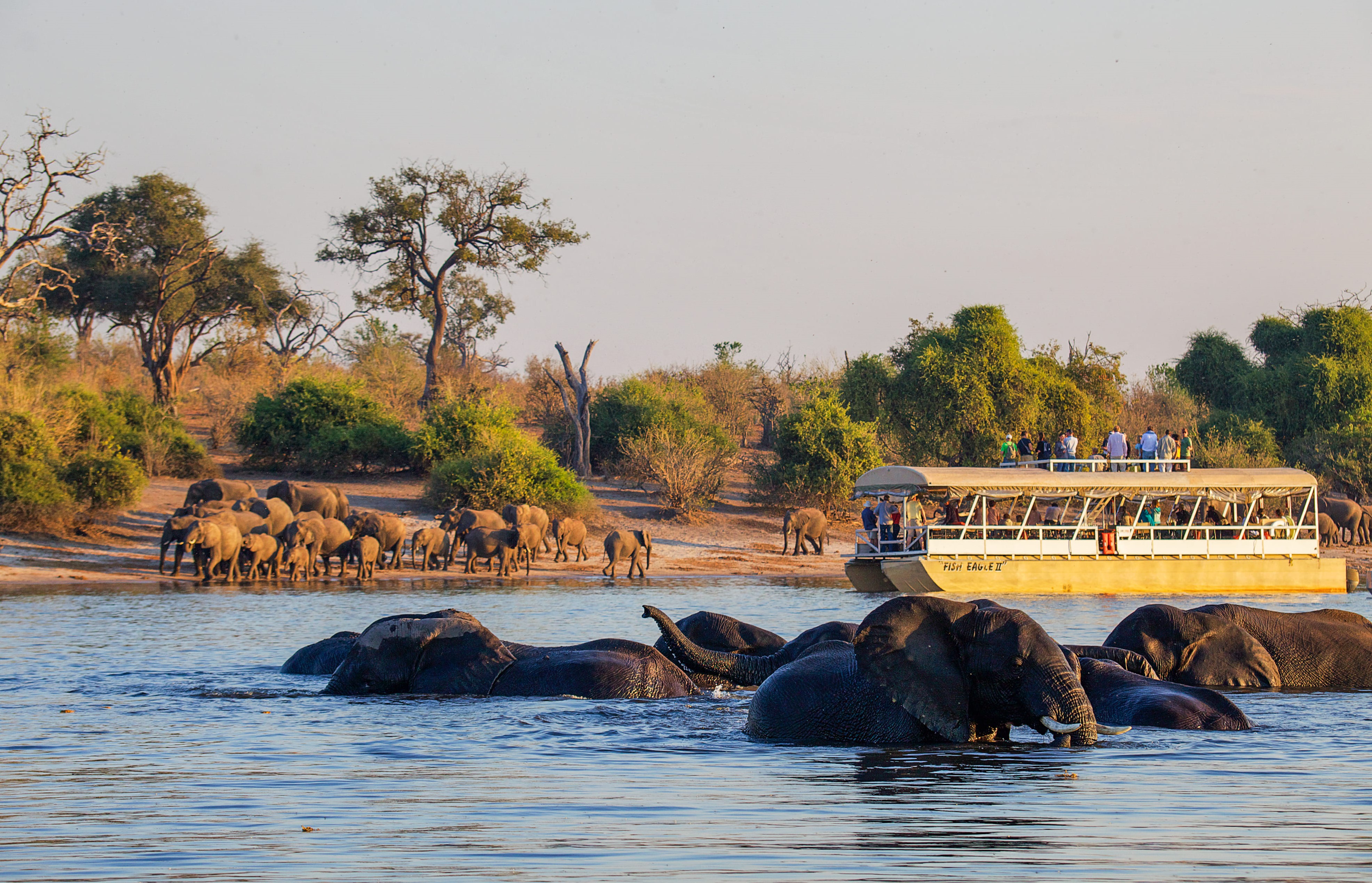 Chobe Day Trip